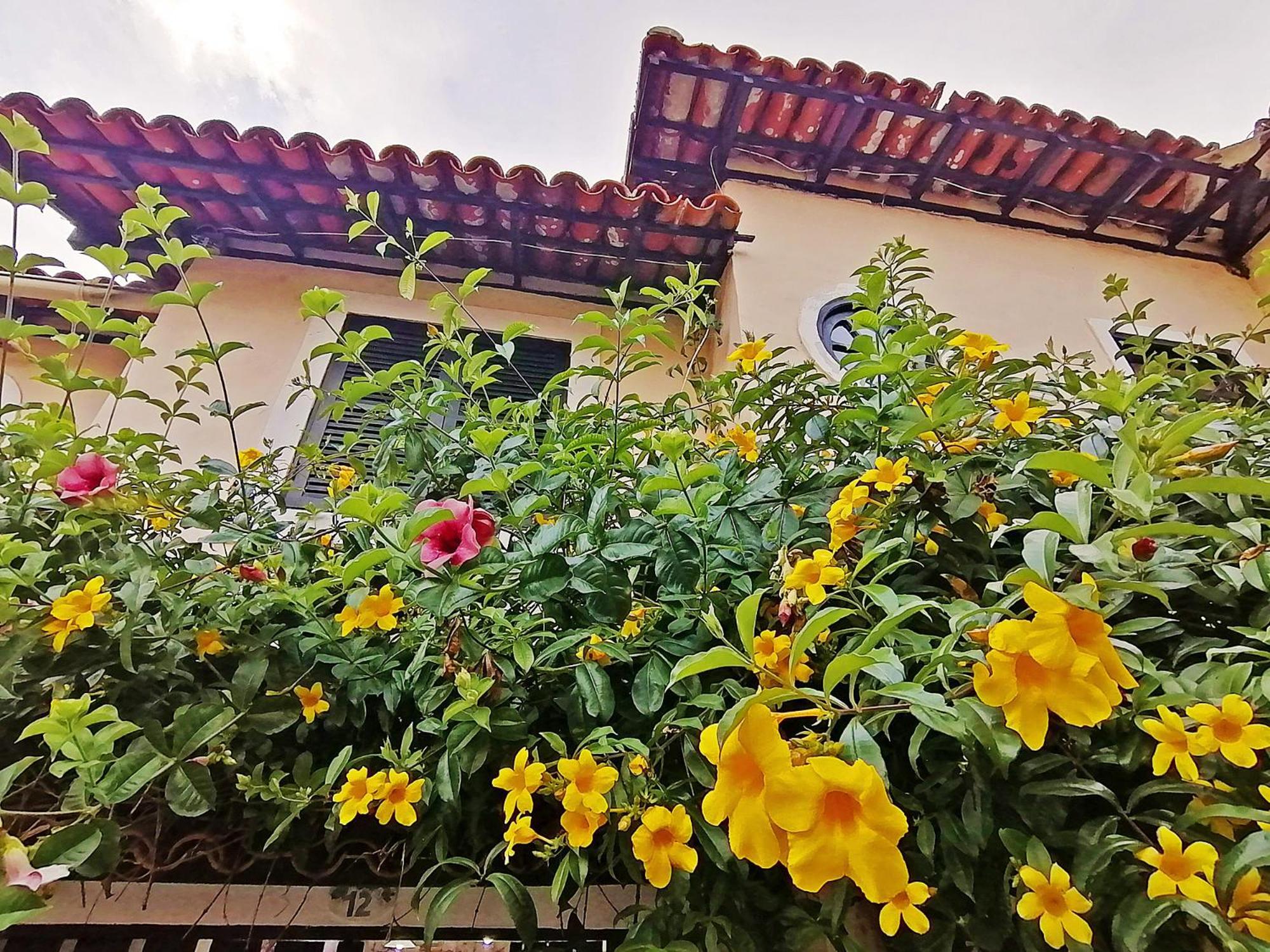 Casa A 500M Da Rua Das Pedras Em Lindo Condominio Com Portaria 24H Армасан-душ-Бузіус Екстер'єр фото